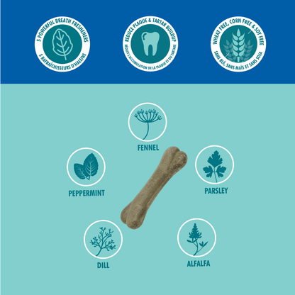 N-Bone® Bone-A-Mints® Mini Natural Dental Bones