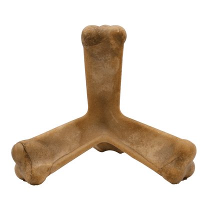 N-Bone® Quado® Interactive Dried Dog Chew Bone, Pumpkin Flavor - Natural, Edible, 100% Digestible Alternative to Plastic Chew Toys - Made in the USA